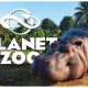 Planet Zoo for Android & IOS Free Download