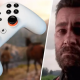 Stadia Player in 'Red Dead Redemption 2" Loses 6,000 Hours of Progress
