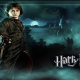 HARRY POTTER AND THE GOBLET OF FIRE PC Latest Version Free Download