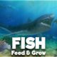 Feed And Grow Fish PC Game Latest Version Free Download