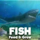 Feed and Grow: Fish Full Version Free Download